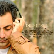 Ehsan Tohidian – Delkhoshi