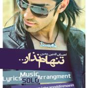 Ehsanoddin Moein – Tanham Nazar