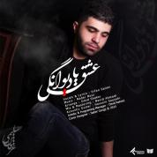 Erfan Salimi – Eshgh Ya Divoonegi