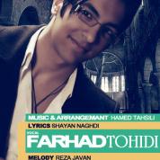 Farhad Tohidi – Royaye Man