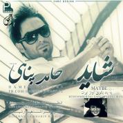 Hamed Panahi – Shayad