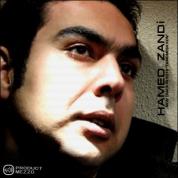 Hamed Zandi – Tamomesh Kon