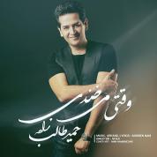 Hamid Talebzadeh – Vaghti Mikhandi