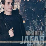 Jafar Soleymani – Delam Migireh