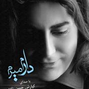 Kiarash Hasanzadeh – Daram Miram