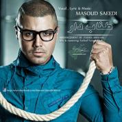 Masoud Saeedi – Tanabe Dar