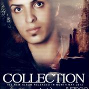 Mehdi Asli Pour (Pouran) – Collection