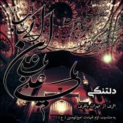 Mehran Bagheri – Deltangi