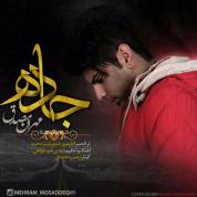 Mehran Mosaddegh – Jadeh