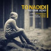 Meysam Azad – To Nadidi