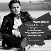 Meysam Ebrahimi – Shayad Asheghesham
