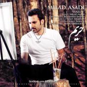 Milad Asadi – Harim