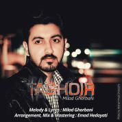 Milad Ghorbani – Taghdir