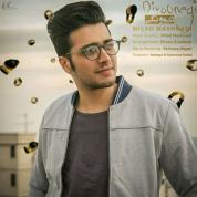 Milad Mashhadi – Divoonegi Milad Mashhadi – Divoonegi