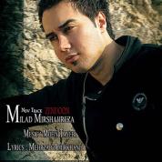 Milad Mirshahreza – Zendoon