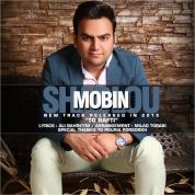 Mobin – To Rafti