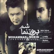 Moein Tayebi – Boro Tanha Sham (Ft Mohammad Zanganeh)