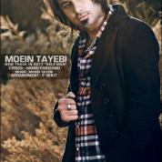 Moein Tayebi – Dele Man