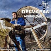 Mohammad Anbarestani – Delvapas