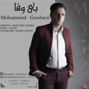 Mohammad Goodarzi – Bivafa