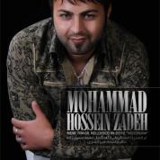 Mohammad Hossein Zadeh – Midonam