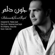Mohammad Javad Ganjeh – Joone Delam