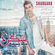 Mohammad Khosrobeygi – Shabgard