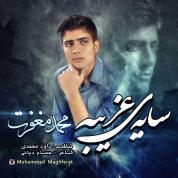 Mohammad Maghferat – Saye Gharibe