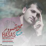 Mohammad Maghsodi – Hasas
