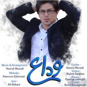 Mohammad Mahdi Hamian – Veda