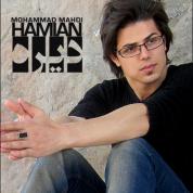 Mohammad Mehdi Hamian – Dire
