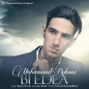 Mohammad Rohani – Bi Eddea