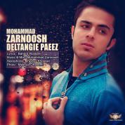 Mohammad Zarnoosh – Deltangie Paeez