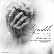 Mohammadreza Amini – Ayandeh