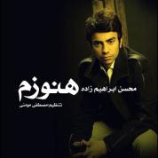 Mohsen Ebrahimzadeh – Hanouzam