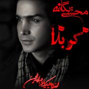 Mohsen Yeganeh – Karbala