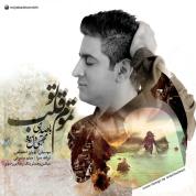 Mojtaba Delzendeh – Tamoome Ghalbe To