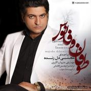 Mojtaba Delzendeh – Toofan Va Fanoos
