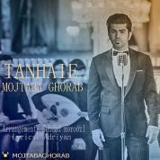 Mojtaba Ghorab – Tanhaei