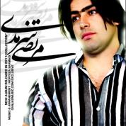 Morteza Sarmadi – Collection