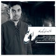 Navid Nikkar – Baraye To