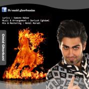 Omid Ghorbani – Bargard