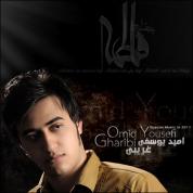 Omid Yousefi – Gharibi