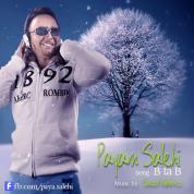Payam Salehi – Bitabi