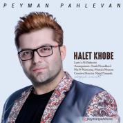 Peyman Pahlevan – Halet Khobe