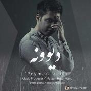 Peyman Zarei – Divooneh