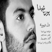 Pouria Sheyda – Dele Divoone