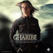 Ramin Kasraei – Gharibe