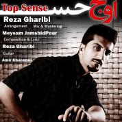 Reza Gharibi – Oje Hess