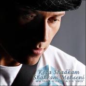 Reza Shadkam & Shahram Mohseni – River